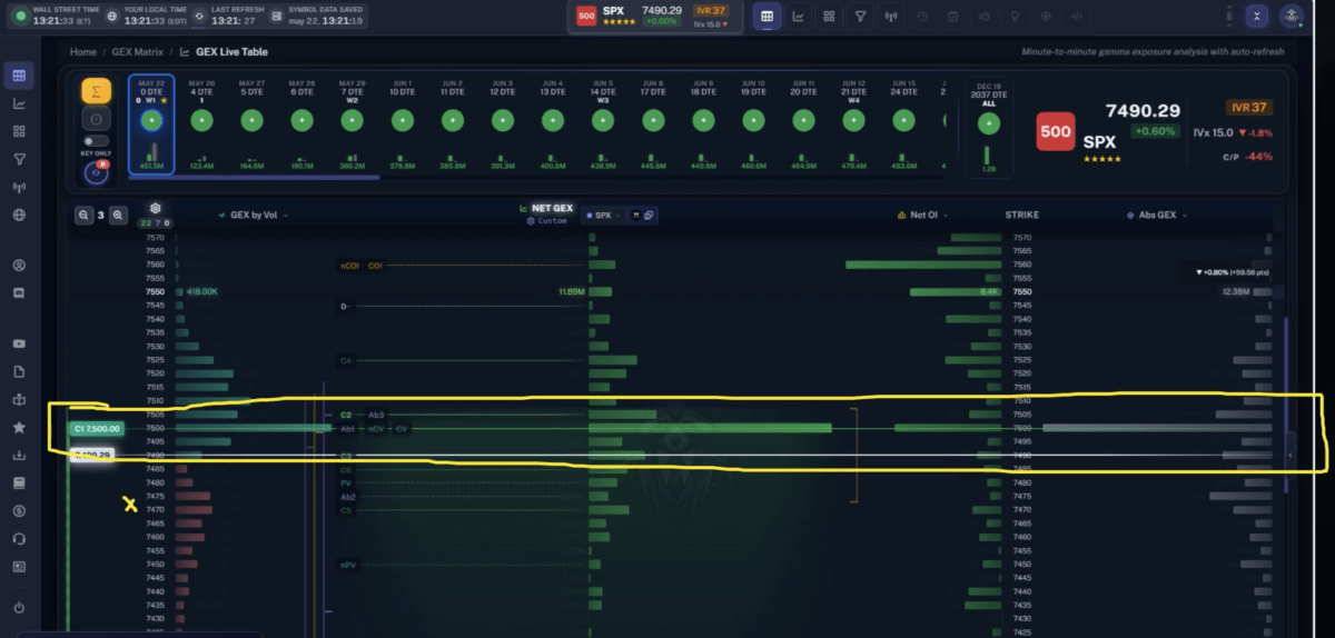 Chris Pulver shows how he uses TanukiTrade in his 0DTE trading.